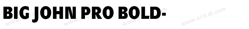 BIG JOHN PRO BOLD字体转换
